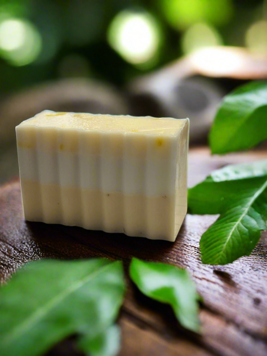 Oatmeal lemon honey goat milk body bar